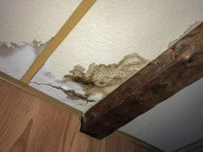 Professional water damage restoration services in Florence, AL - Residential Water Damage Pros
